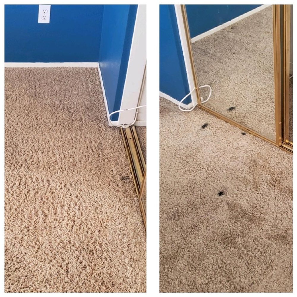 A1 Carpet Cleaning HD