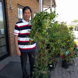 Barton Nursery 15 Reviews Nurseries Gardening 949 New Photo Of Barton Nursery Edison Nj United States Honeyle Plant
