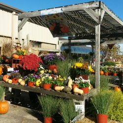 Jung Garden Centers 22 Photos 15 Reviews Nurseries Gardening Jung Garden Centers 22 Photos 15 Reviews Nurseries Gardening 6192 Nesbitt Rd Fitchburg Wi Phone Number Last Updated December 17 2018 Yelp