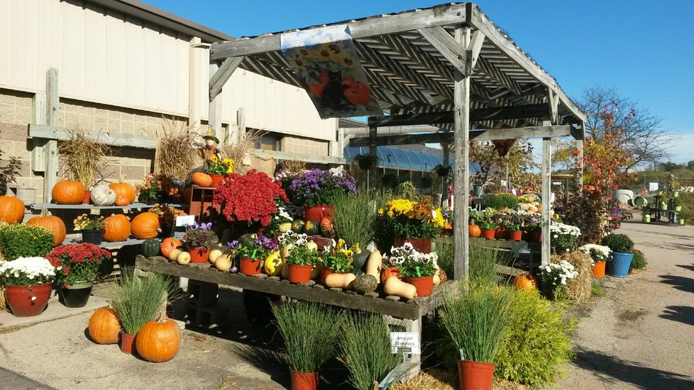 Jung Garden Centers 22 Photos & 19 Reviews Nurseries & Gardening