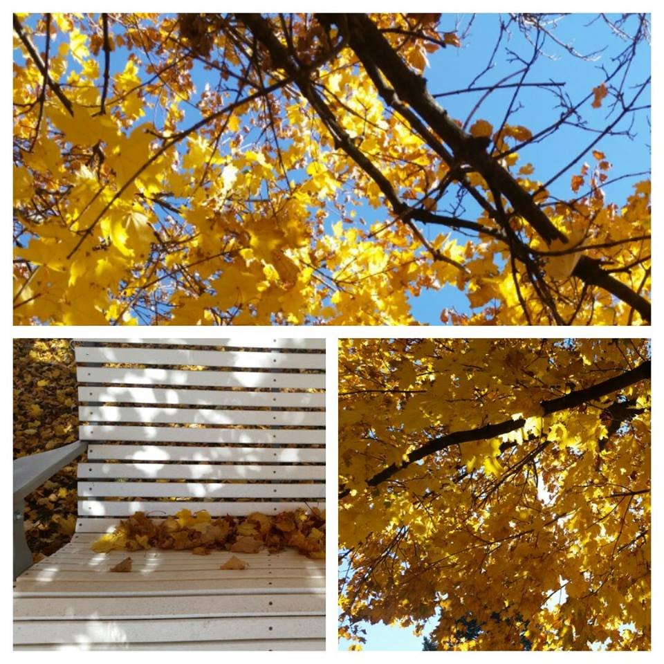 Ben Franklin Park RV Parks 1350 Woodberry Rd, York, PA Phone