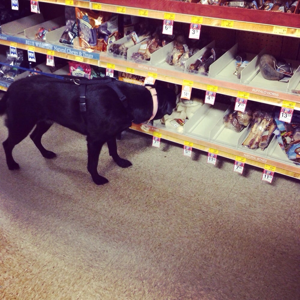 PetSmart