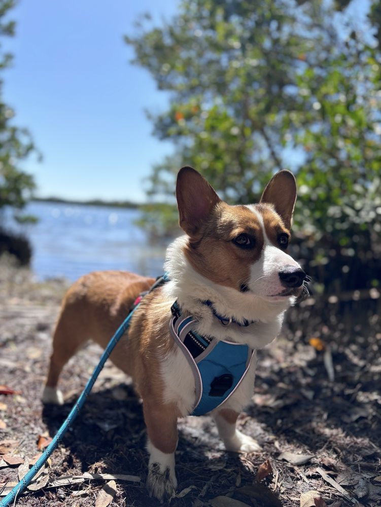 Fort De Soto Park Image