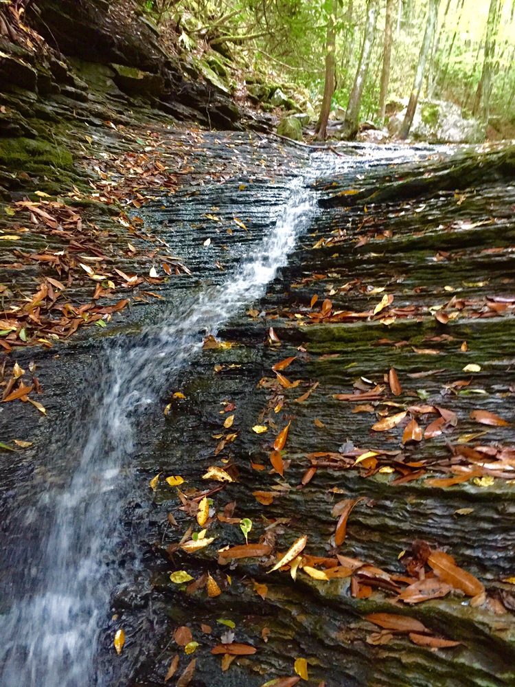 Devil’s Bathtub 16 Photos Hiking High Knob Rd, Dungannon, VA Yelp