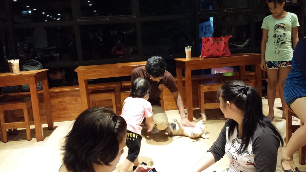On Dog Dog Cafe Hong Kong Yelp On Dog Dog Cafe Hong Kong Yelp