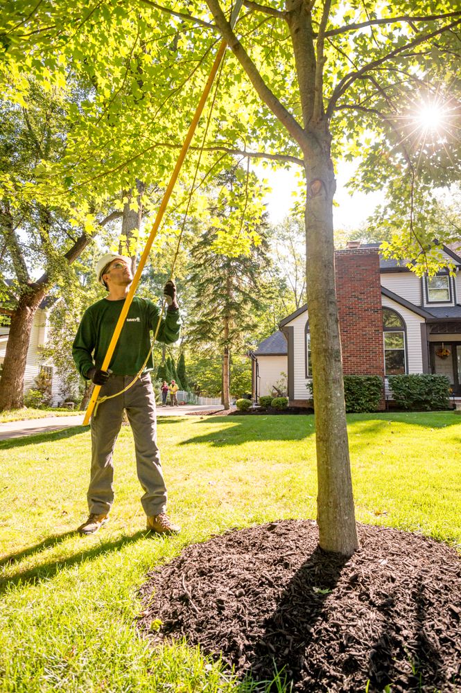 The Davey Tree Expert Company