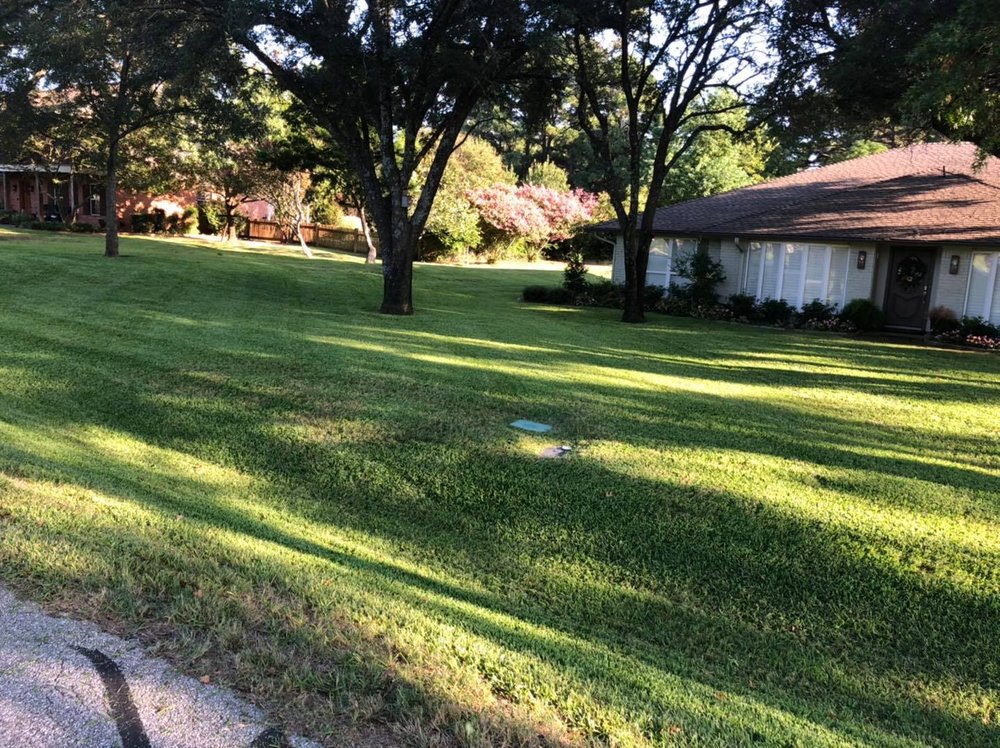 Beast Mowed DFW