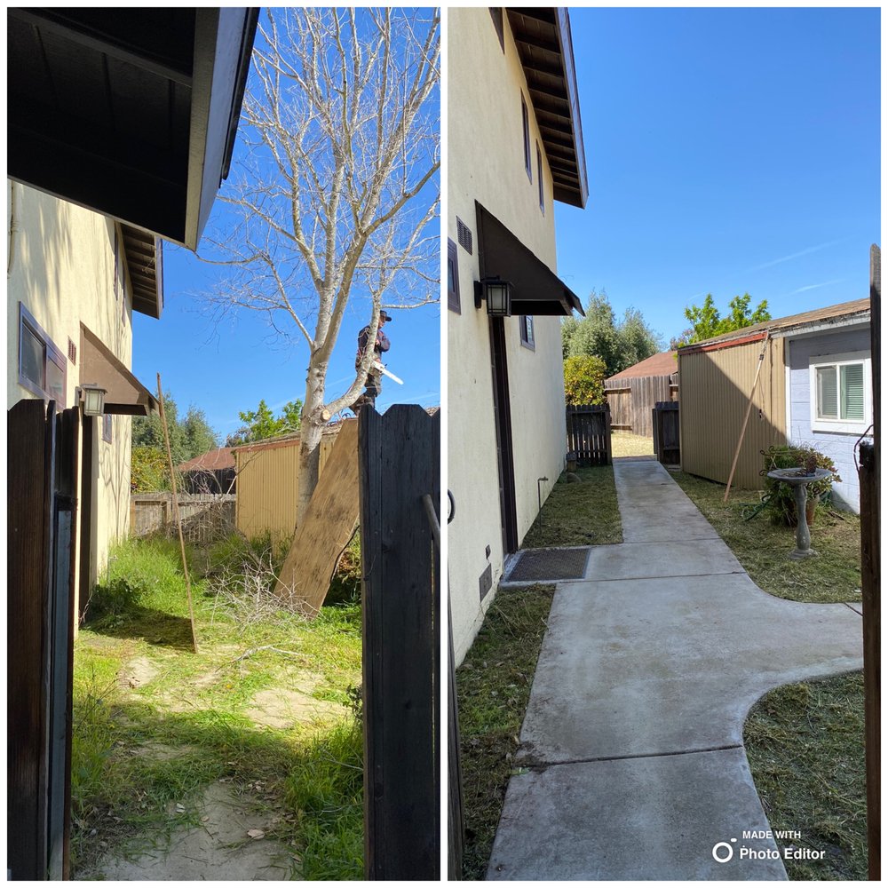 Vtc Lawn & Tree Care