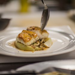201 Seafood Restaurant And Lounge 64 Photos 70 Reviews Photo Of 201 Seafood Restaurant And Lounge Savannah Ga United States