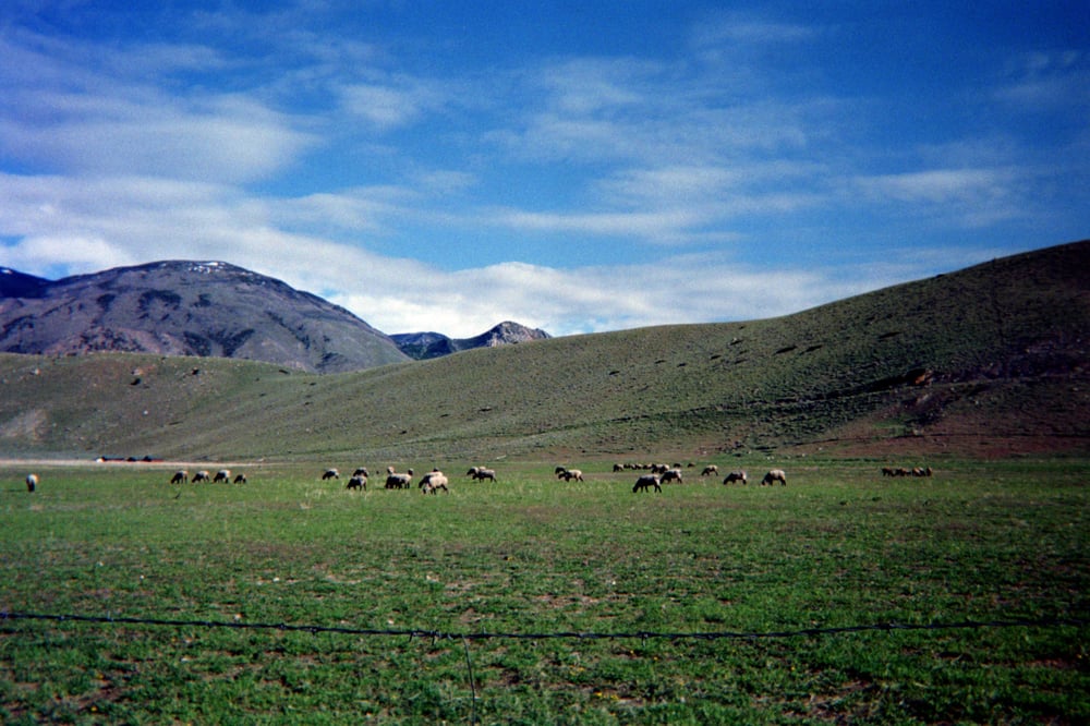 Trinity Teen Solutions 36 Photos Counseling & Mental Health 112