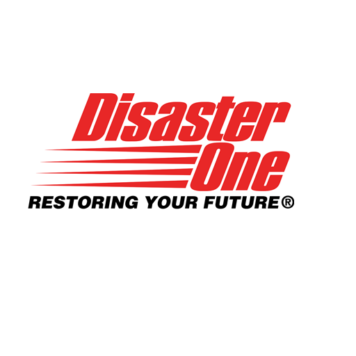 BluSky Restoration Contractors