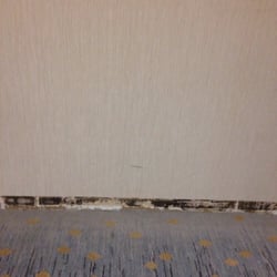 Radisson Hotel Plymouth Harbor Closed 21 Photos 35 Reviews Photo Of Radisson Hotel Plymouth Harbor Ma United States
