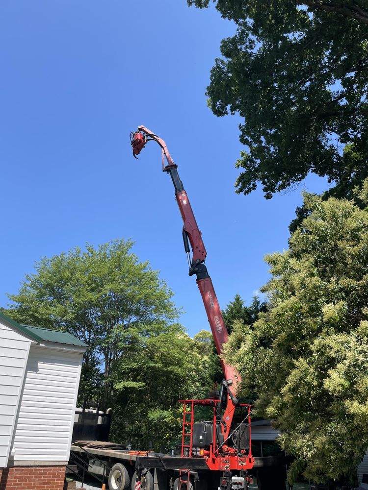 Justin Dugan Tree Service & Landscaping