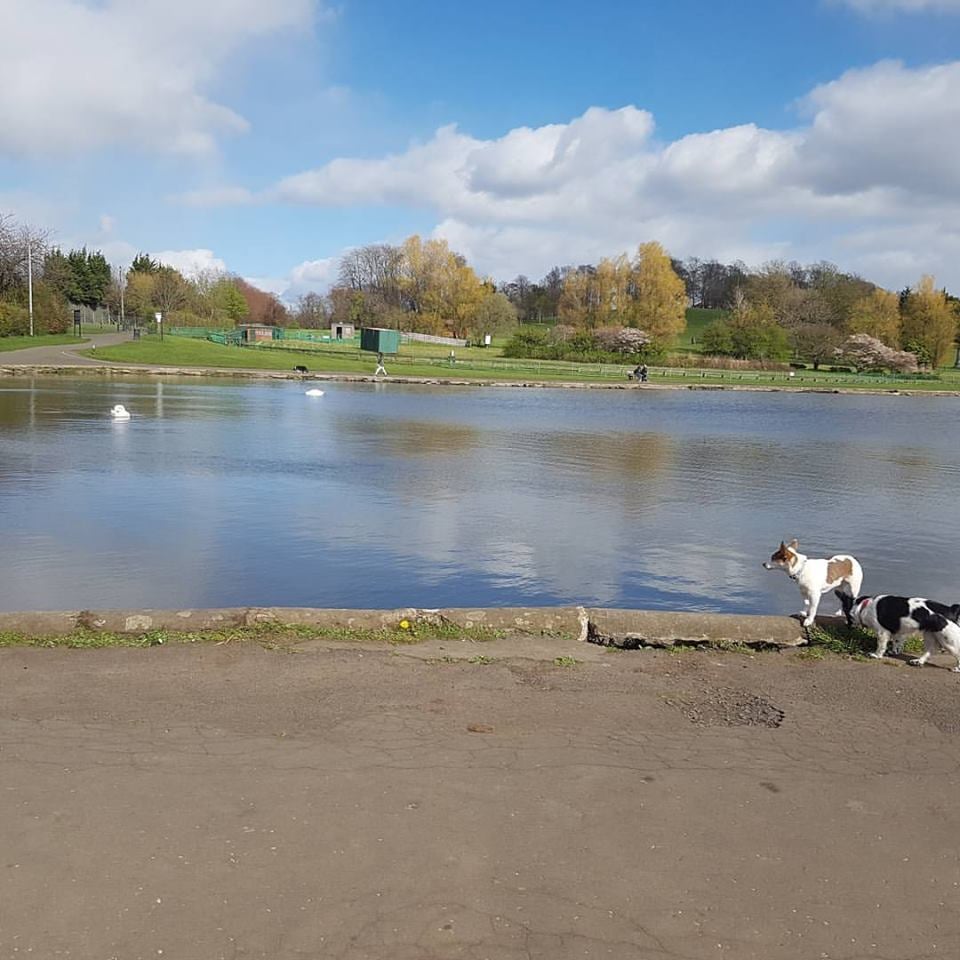 Barshaw Park Parks Glasgow Rd, Paisley, Paisley, Renfrewshire