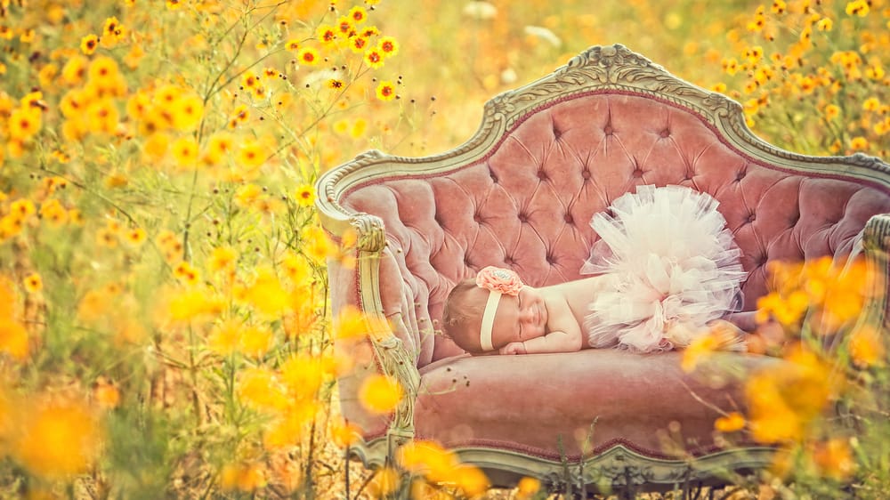 Sallee Photography