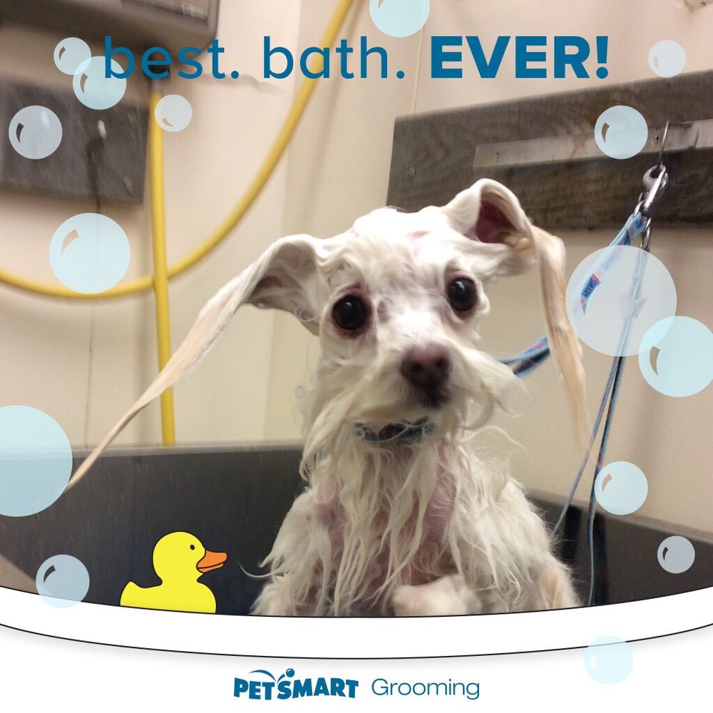 PetSmart 38 Reviews Pet Stores 1196 West Olive Ave, Merced, CA