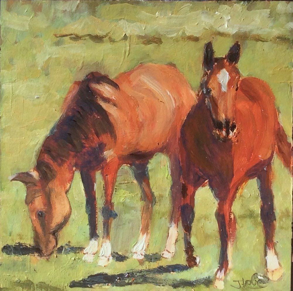 Hillsborough Gallery of Arts