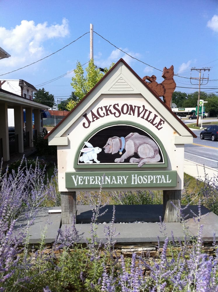 Jacksonville Veterinary Hospital Veterinarians 14240 Jarrettsville
