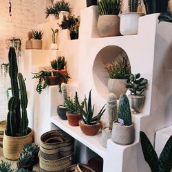 Other Times Vintage Furniture S 48 Bogart St East Photo Of Other Times Vintage Brooklyn Ny United States Plants Furniture