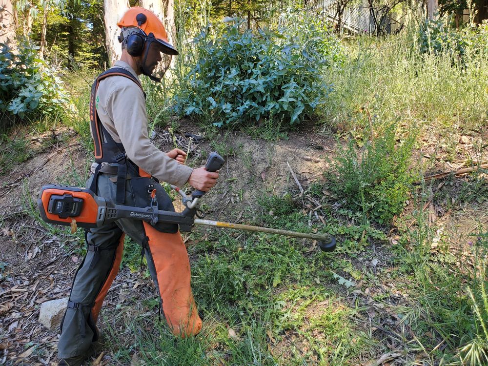 BrushPros - Oakland Hills Brush Clearing