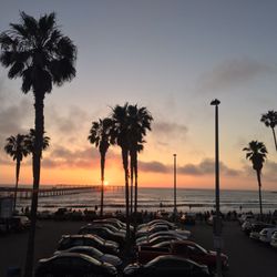 Ocean Beach San Go Restaurants Best Restaurants In Ocean Beach San Go Best