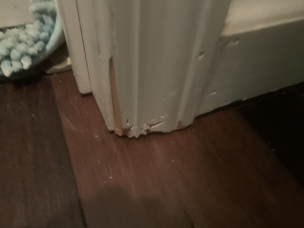 image of business DreamTeam Roofing&Remodeling