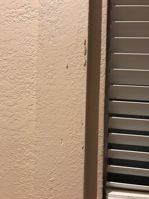 Budget Brothers Termite Pest Elimination 610 E Bell Rd Phoenix Az Budget Brothers Termite Pest Elimination 610 E Bell Rd Phoenix Az Control Mapquest