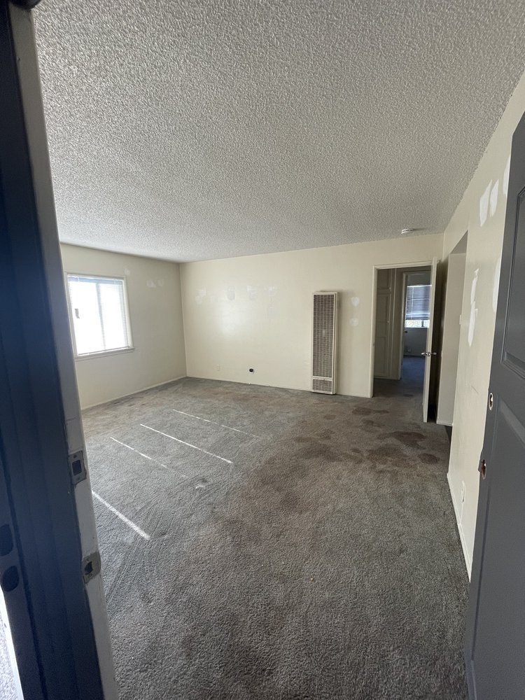 image of business Dave