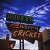 Cherry Cricket