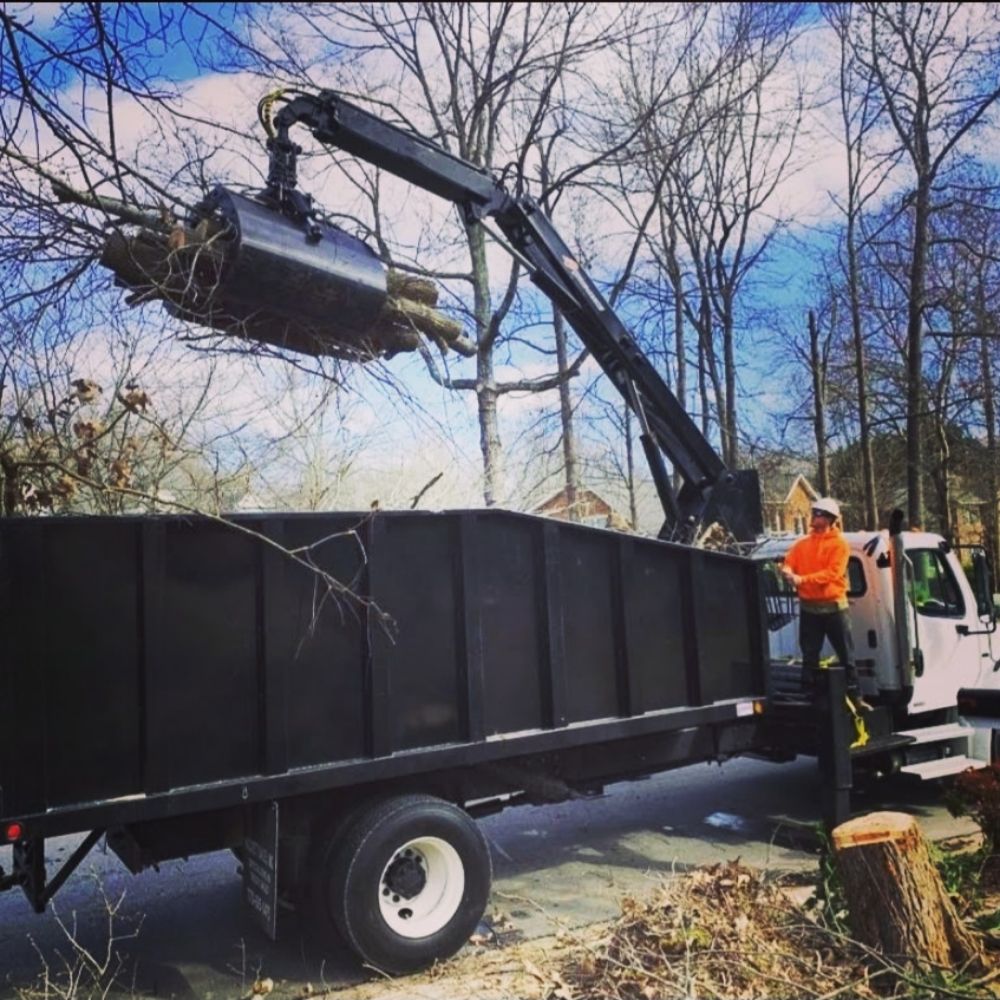 Veteran Residential Tree Service