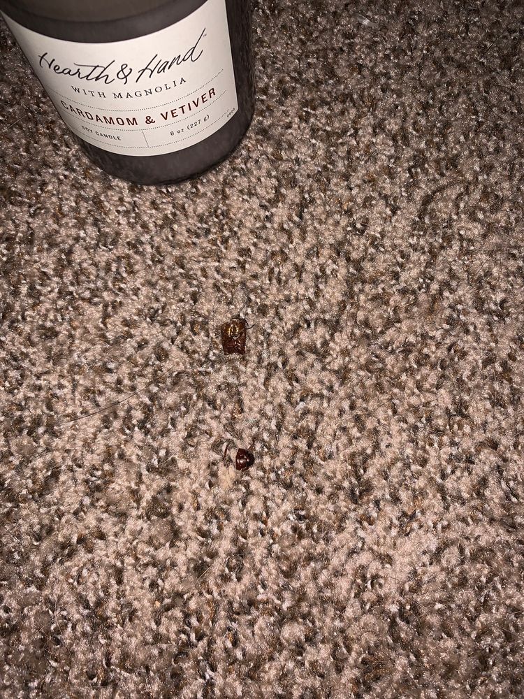 Town Center Apartment Homes