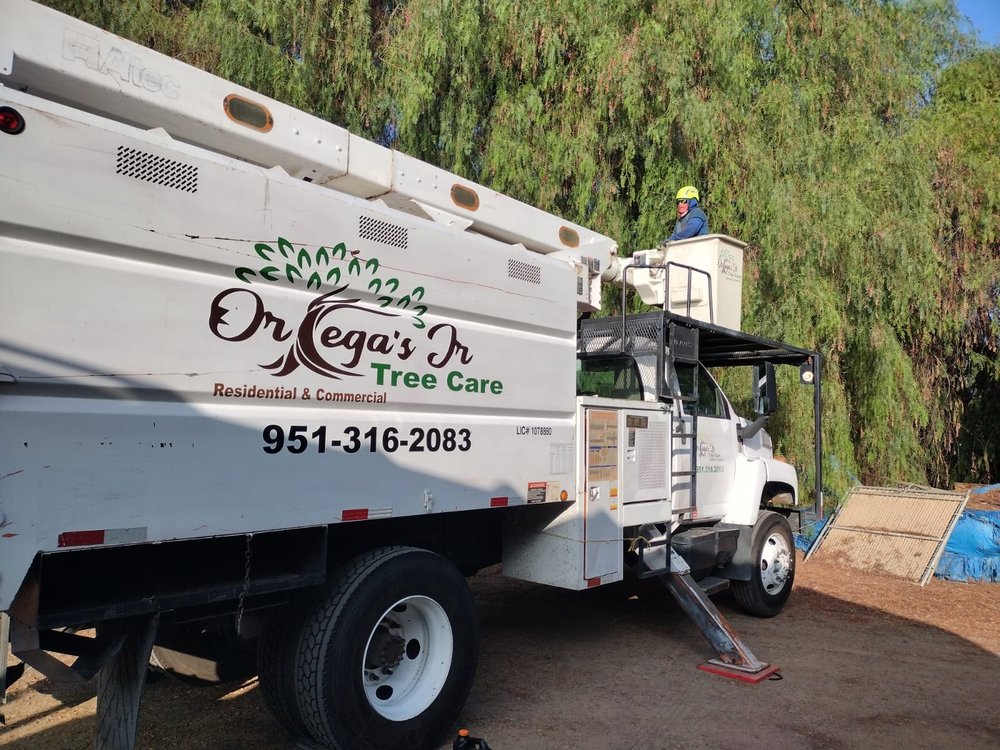 Ortega's Jr Tree Service