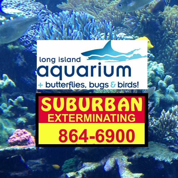 Suburban Exterminating 25 Reviews Pest Control 879 W Jericho Tpke