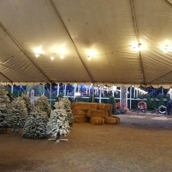 Pinery Christmas Trees - 25 Photos & 26 Reviews - Christmas Trees Photo of Pinery Christmas Trees - Bonita, CA, United States - Pinery Christmas Trees - 25 Photos & 26 Reviews - Christmas Trees