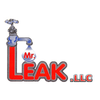 image of business Mr Leak