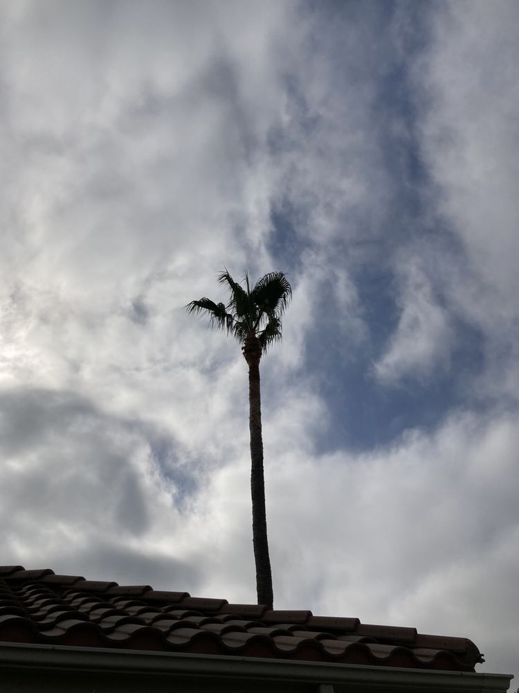 Green View Landscape & Tree Service