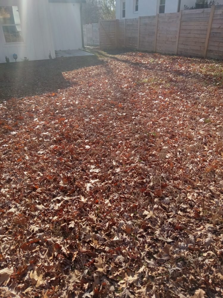 A.S.A.P. Quick & Fresh