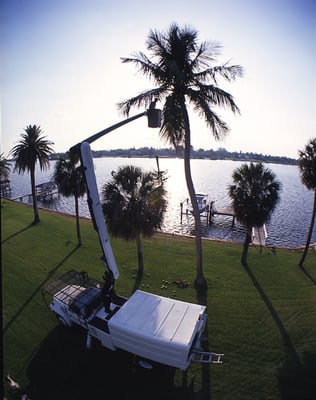 Jenkins Landscape 12260 Se Dixie Hwy Hobe Sound Fl Landscaping Photos 6