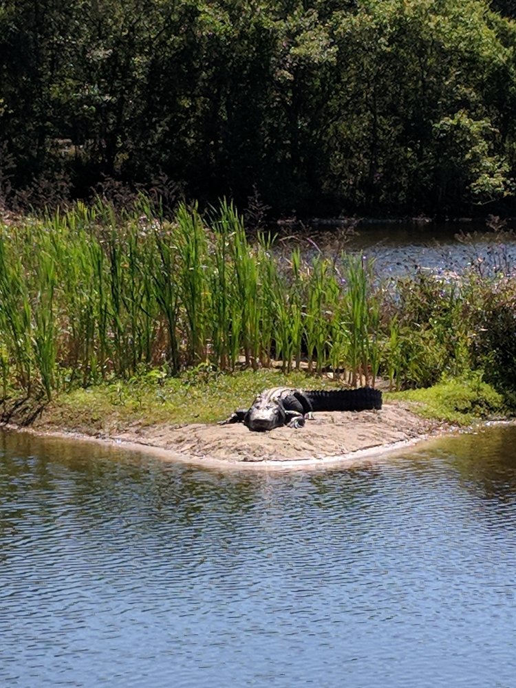 Web 104 reviews regular park hours are thursday through saturday 10 a.m. Moccasin Lake Nature Park 29 Photos Hiking 2750 Park Trail Ln