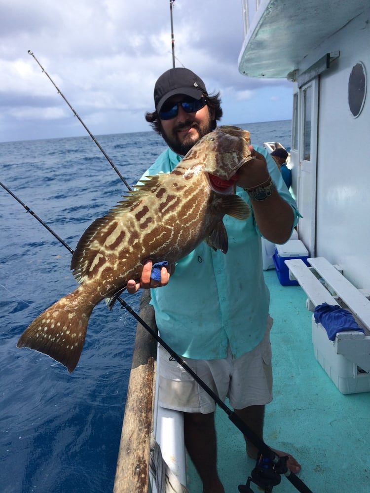 gulfstream party fishing boat key largo fl black grouper caught on dead speedo cut in half in 80ft of gulfstream party fishing boat key largo fl black grouper caught on dead speedo cut in half in 80ft of