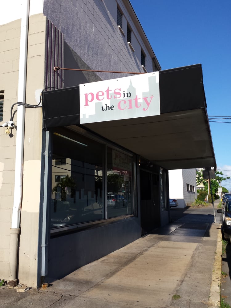 Pets in the City 33 Reviews Pet Groomers 1232 Young St, Honolulu