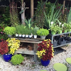 Earl S Garden Nursery Nurseries Gardening 3627 Wests Earl S Garden Nursery Nurseries Gardening 3627 Wests Blvd Tampa Fl Phone Number Yelp