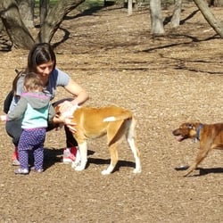 dog parks minneapolis dog parks minneapolis