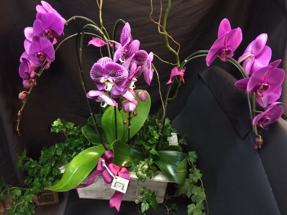 Loma Linda Florist 168 Photos & 27 Reviews Florists 10559 Anderson St, Loma Linda, CA