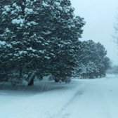 Arizona Mountain Inn & Cabins - 62 Photos & 48 Reviews - Bed