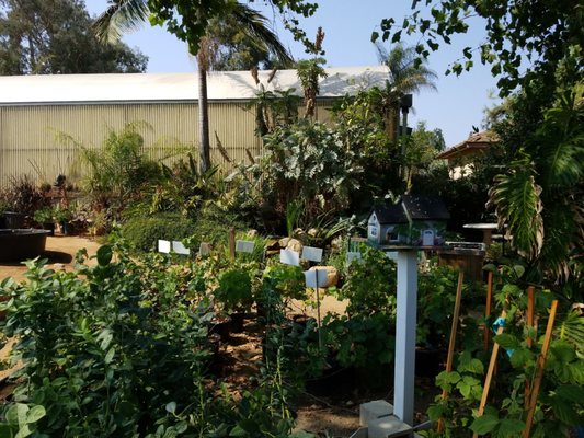 El Plantio Nursery 1322 San Pasqual Valley Rd Escondido Ca El Plantio Nursery 1322 San Pasqual Valley Rd Escondido Ca Nurseries Mapquest