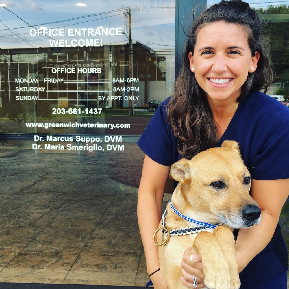 Greenwich Veterinary Center