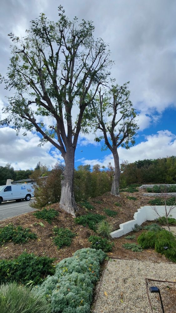 Cedar Lake Gardening Services