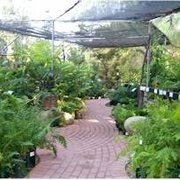 Sperling Nursery Closed 40 Reviews Nurseries Gardening Photo Of Sperling Nursery Calabasas Ca United States