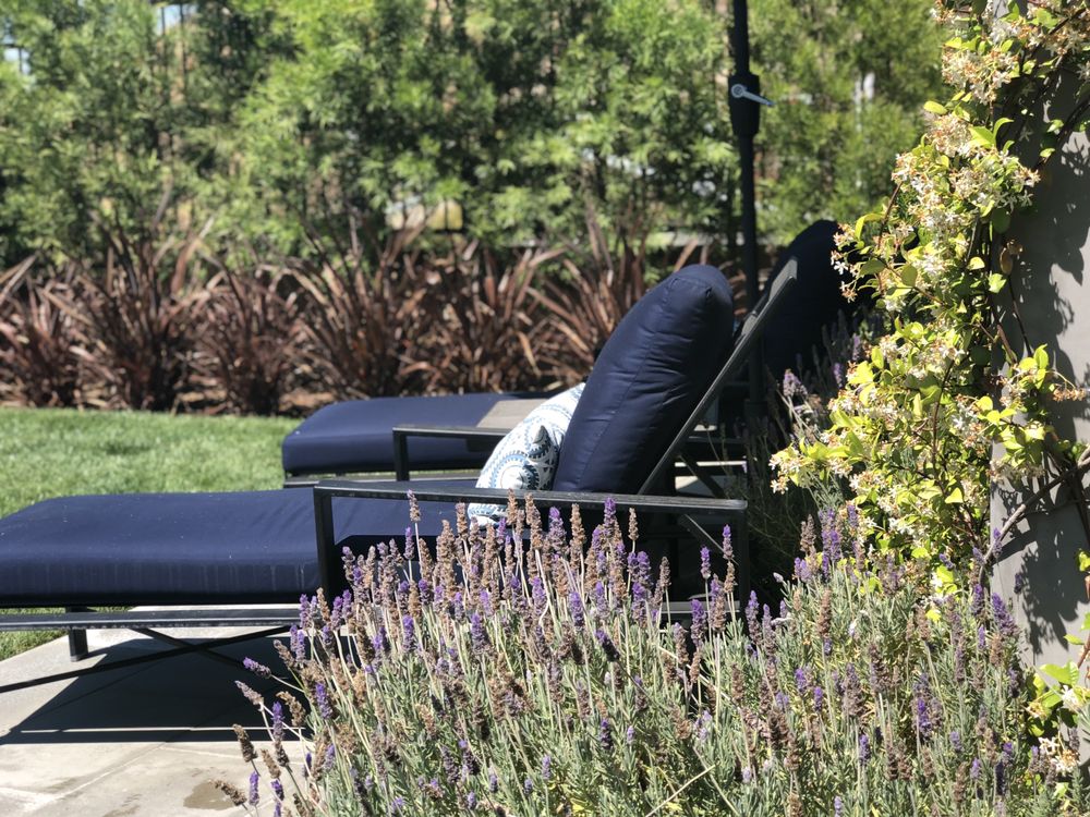 Galloway Landscape & Design